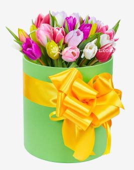 Box with Tulips